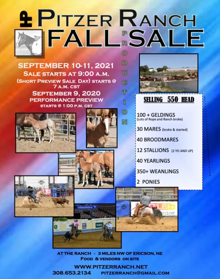 Al Hughes Auction Pitzer Ranch Fall Sale